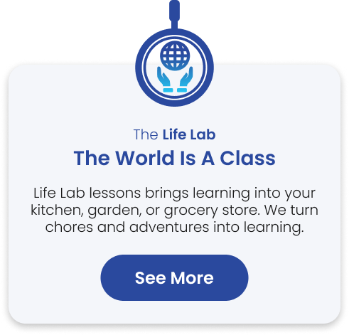 Life Lab Explanation
